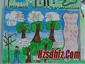 �¿����Ŵ�������˽��