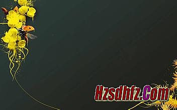 1.76�������Ŵ�����ַ